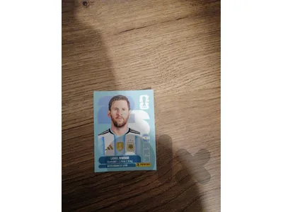 panini stickers