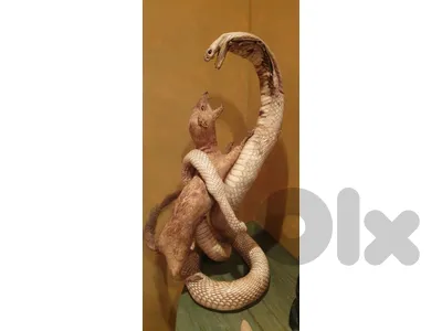 real cobra +real croco & abanos strong wood hand made