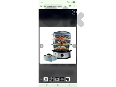 food steamer