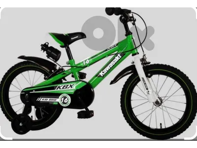 bicycle kawasaki brand