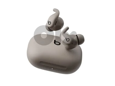 Powerbeats Fit
 gray