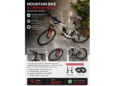 mountain bike