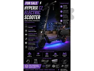 Electric Scooter