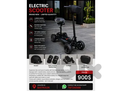 electric scooter