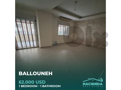 Apartment With Terrace For Sale In Ballouneh