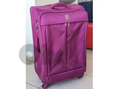 Luggage For Sale - Delsey