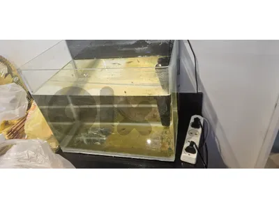 small aquarium and filter