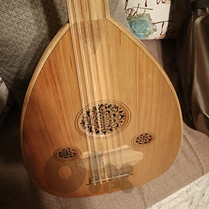 عود زرياب