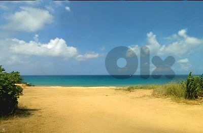Land for sale in Batroun / Sandy Beach facade/ 20-40%