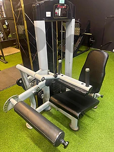 Seated leg curl heavy duty