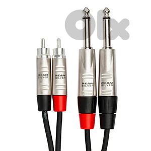 HOSA REAN DUAL 1/4 TS TO DUAL RCA