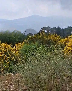 Land for Sale in Douma