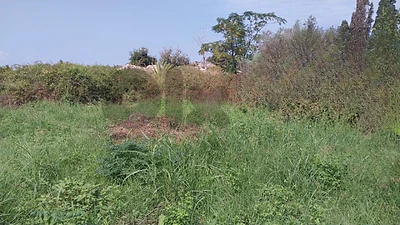 Land for Sale in Batroun