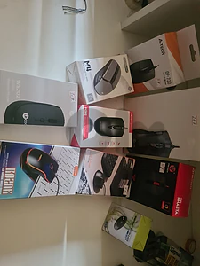 mouse