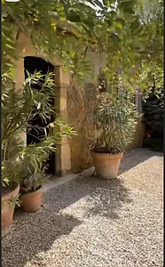 Land corner prime location achrafieh