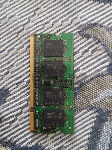 rare old ram!!