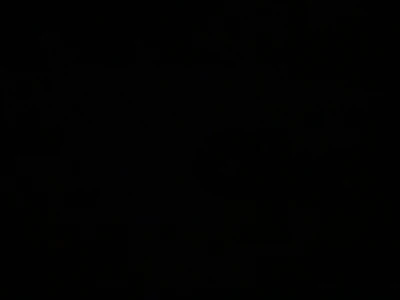phone number