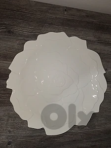 white plate white plate