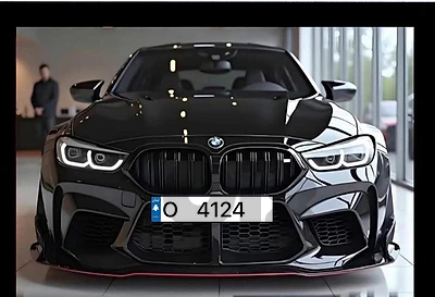 plate number 4124 O