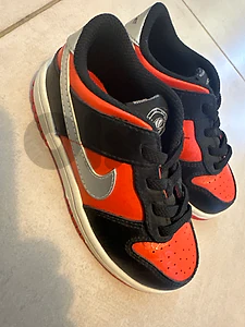 Nike dunk alien edition