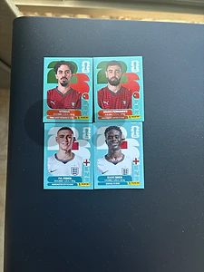 panini players