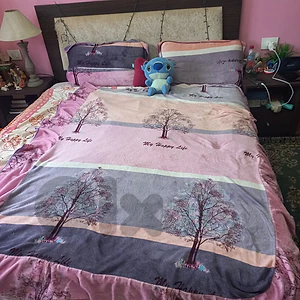 Queen bed with comodes for sale with mattress just at 100$