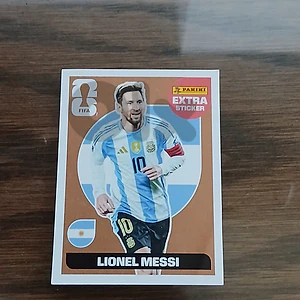 Panini sticker