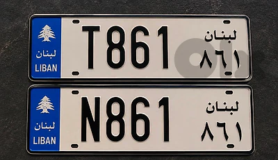 T 861 & N 861