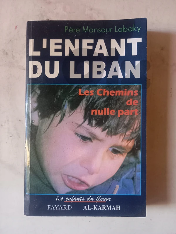 L'Enfant du Liban: Les chemins de nulle part by Mansour Labaky.