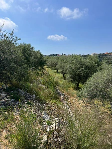 Land for sale in Edde – Batroun أرض للبيع في إده - البترون