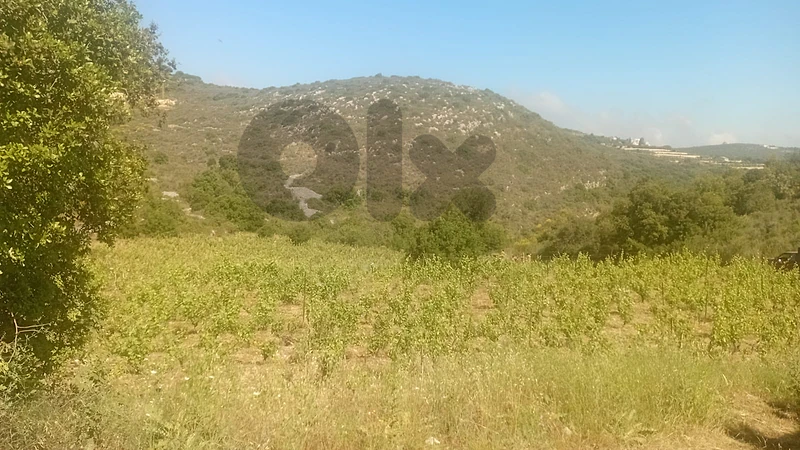 Lands for sale in Jran – Batroun أراضٍ للبيع في جران - البترون