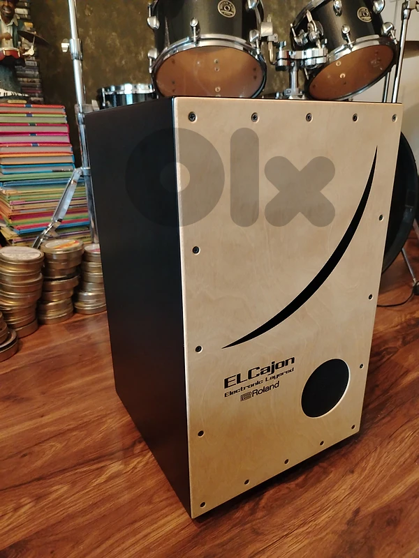 cajon roland electric