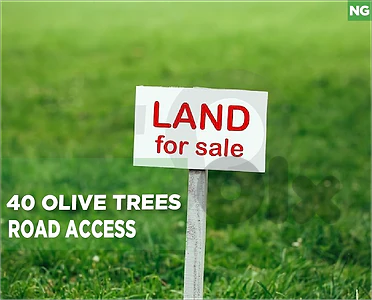 Land for Sale in abey  REF#NG129589