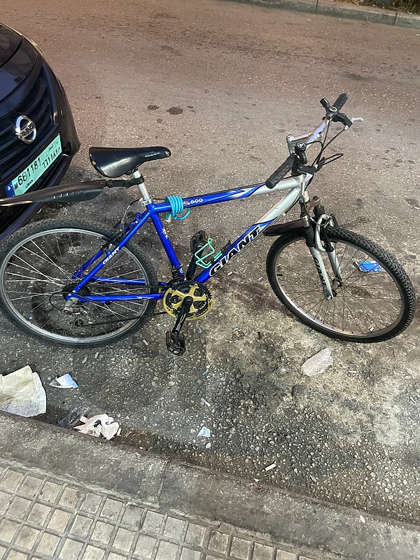 Manual Giant Bike