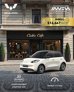 Wuling Bingo Wuling Bingo