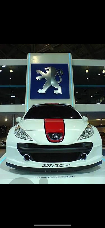 PEUGEOT 207 RC  (Read description)