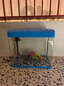 Aquarium