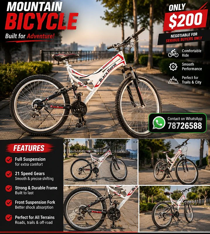 mountain bike