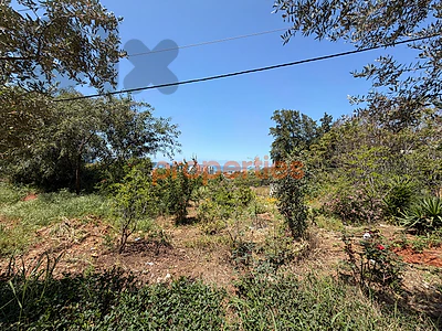 Land For Sale In Rabieh Naccache - أرض للبيع في الرابية النقاش CPTA117 Land For Sale In Rabieh Naccache - أرض للبيع في الرابية النقاش CPTA117