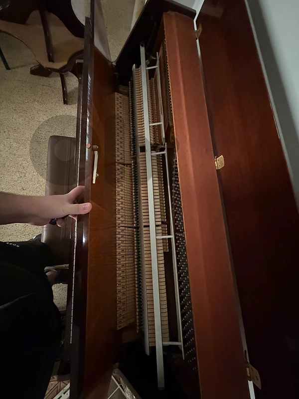 classic piano (hoffmann]