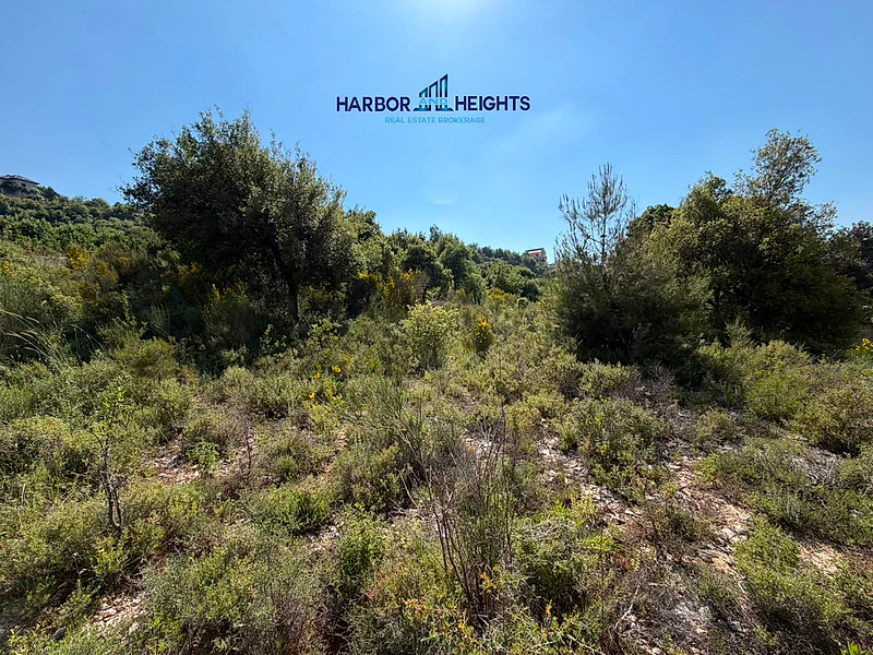 Land for Sale in Lehfed - أرض للبيع في لحفد