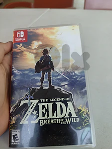 zelda botw
