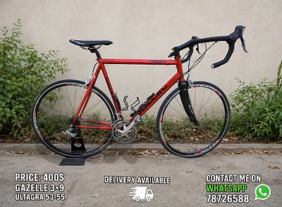 Gazelle 3×9 ultagra 53-55