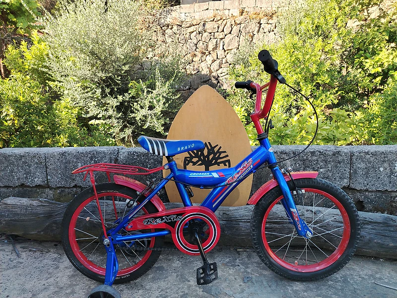 bicycle kids 16