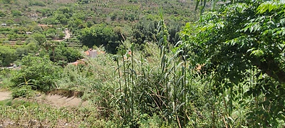 Land For Sale In Deir El Qamar | Mountain View يوجد على العقار منزل قديم بحاجة الى ترميم Land For Sale In Deir El Qamar | Mountain View يوجد على العقار منزل قديم بحاجة الى ترميم