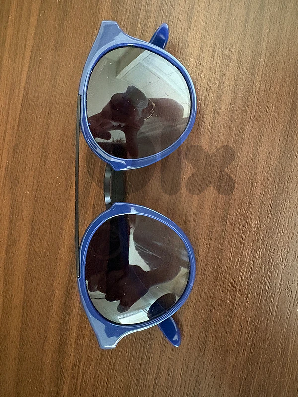 carrera sunglasses