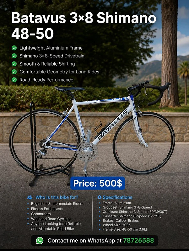 Batavus 3×8 Shimano 48-50