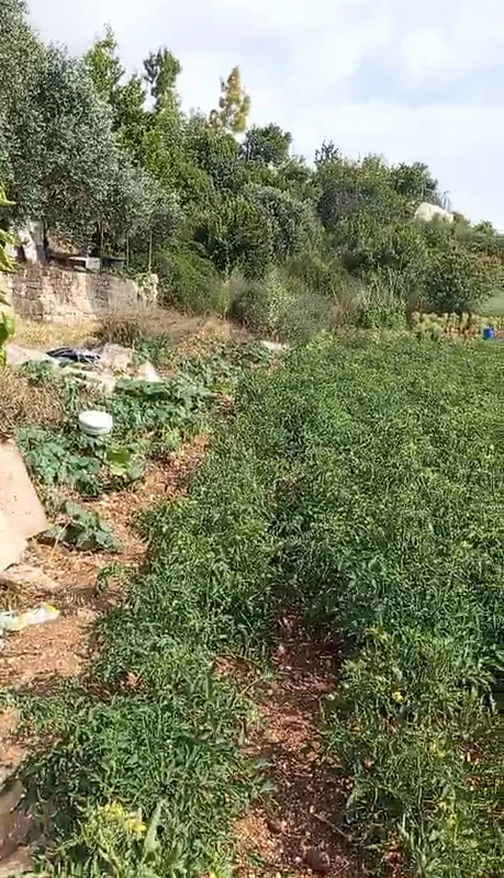 Land for sale in Blat (Flat Land)
