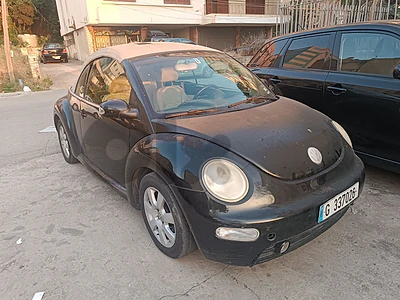 Volkswagen Beetle model 2004