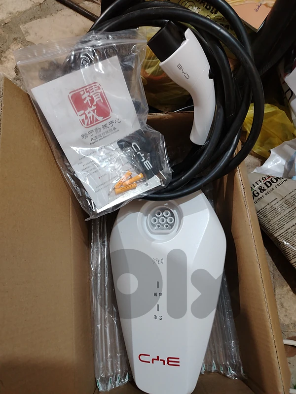 BYD original charger